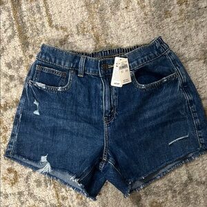 Aerie Daydreamer Women’s Denim Shorts Dark Wash Distressed NWT